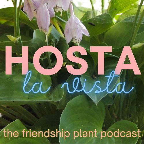 HOSTA la Vista